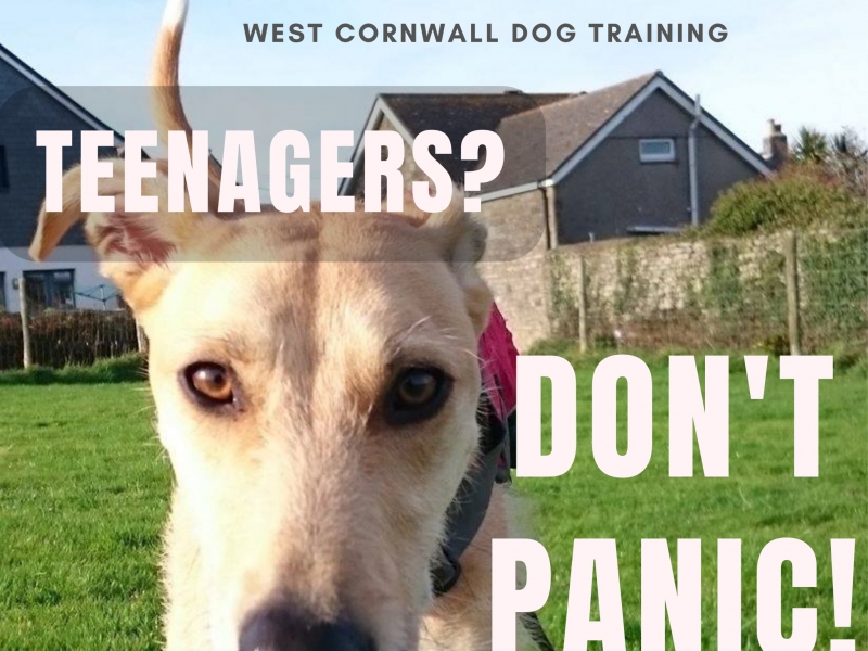 Teenage Tales - DON'T PANIC!